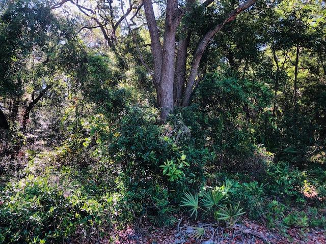 85 Avenue - Photo 1
