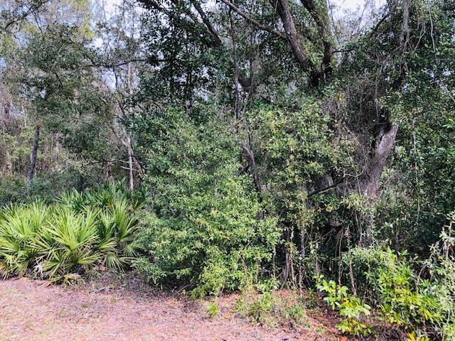 85 Avenue - Photo 1