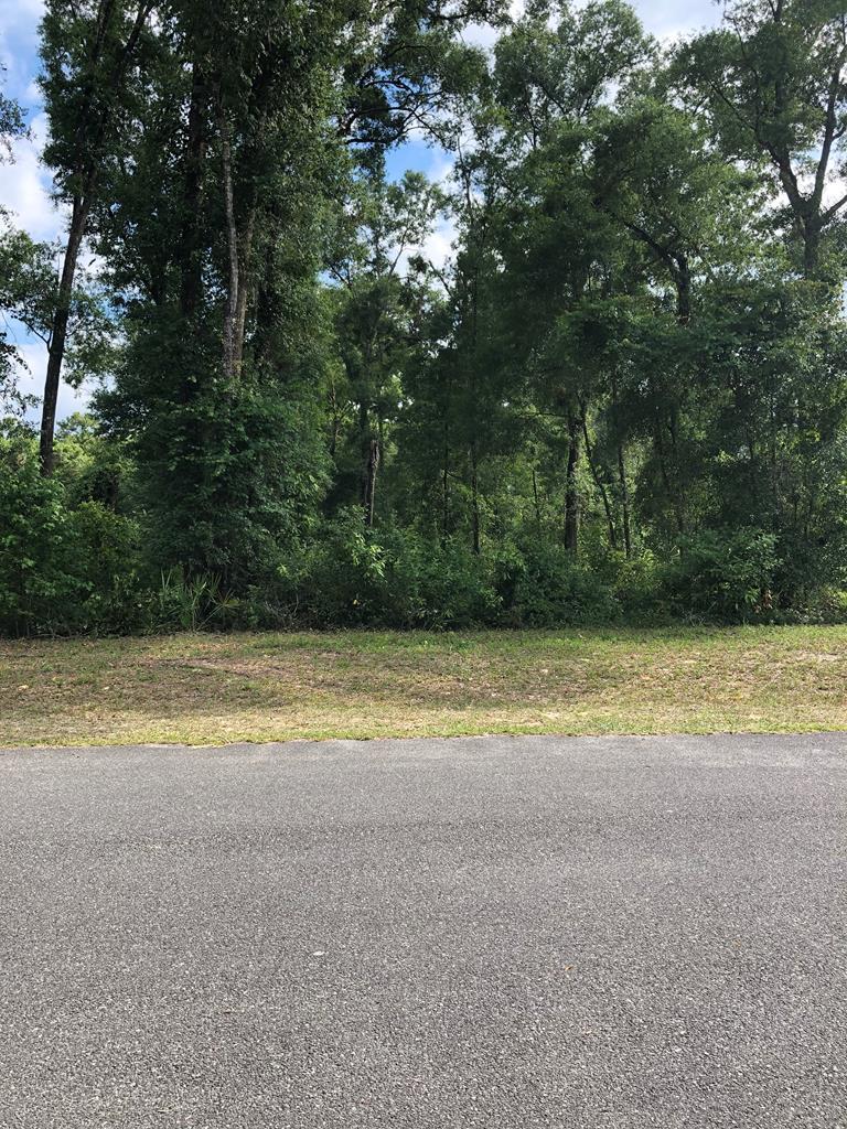 Lot 33 Katherine Way - Photo 1 Lot 33 Katherine Way - Photo 1