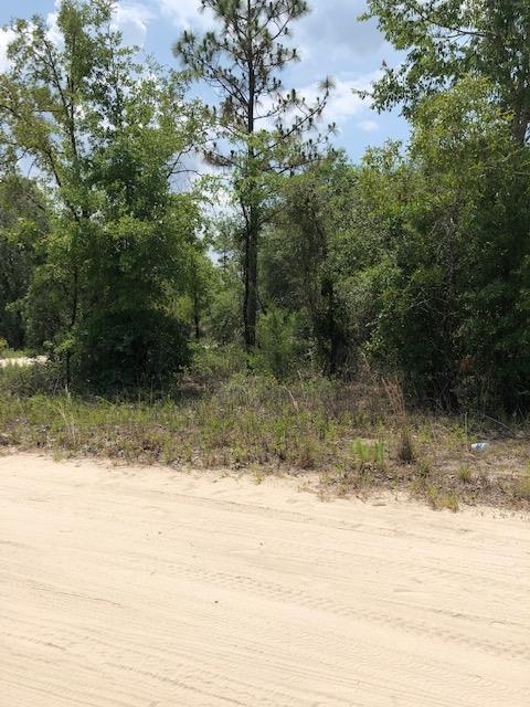 TBDlot15 65th Lane - Photo 1
