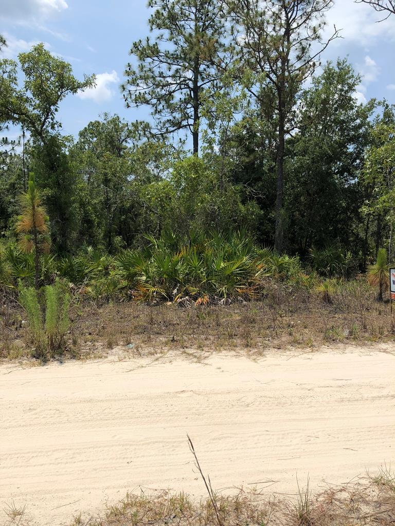 TBDlot14 65th Lane - Photo 1