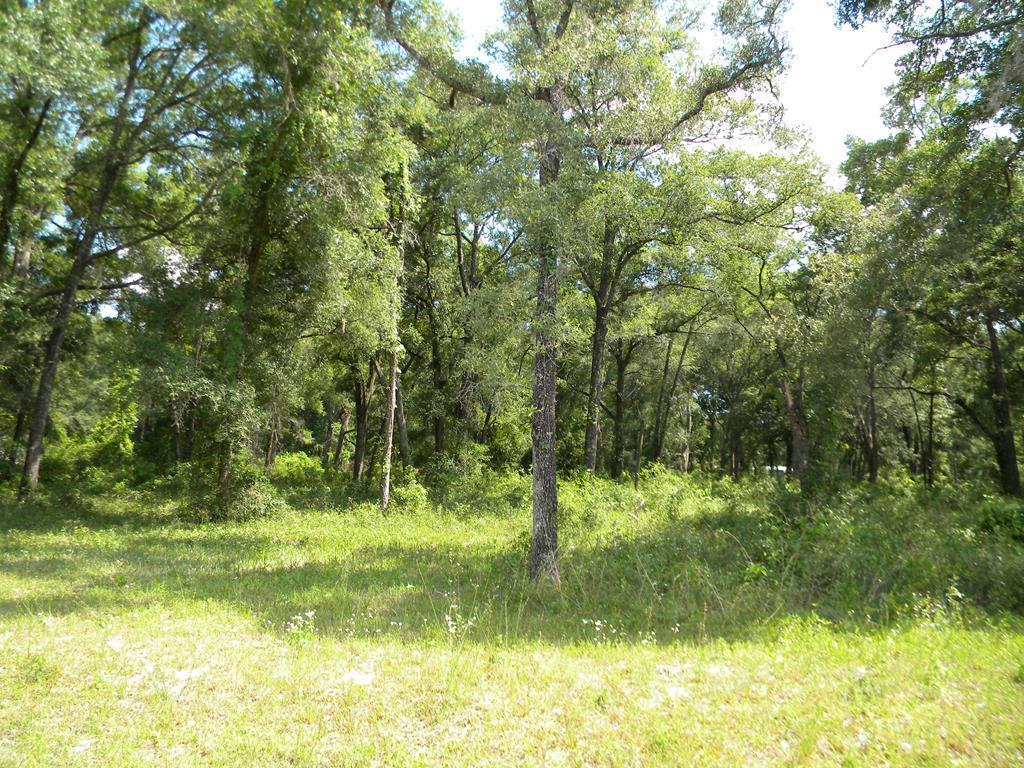 6570 138 PL - Photo 1