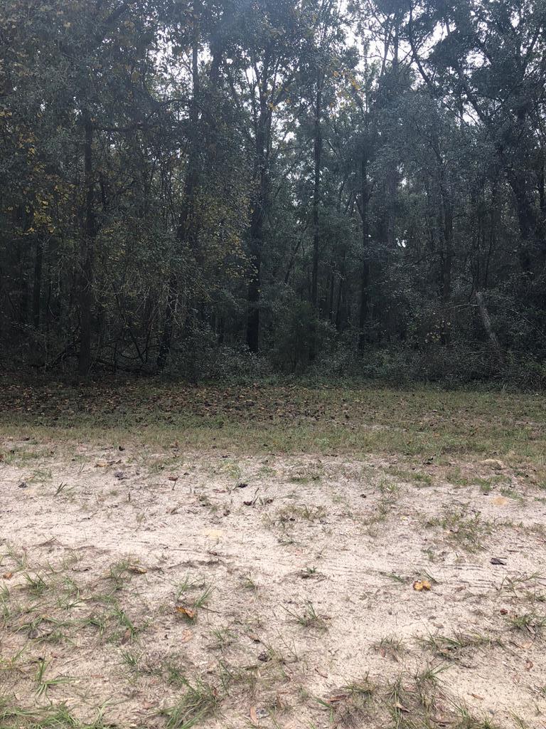 lot 14 96th Pl & 12 Ter - Photo 1