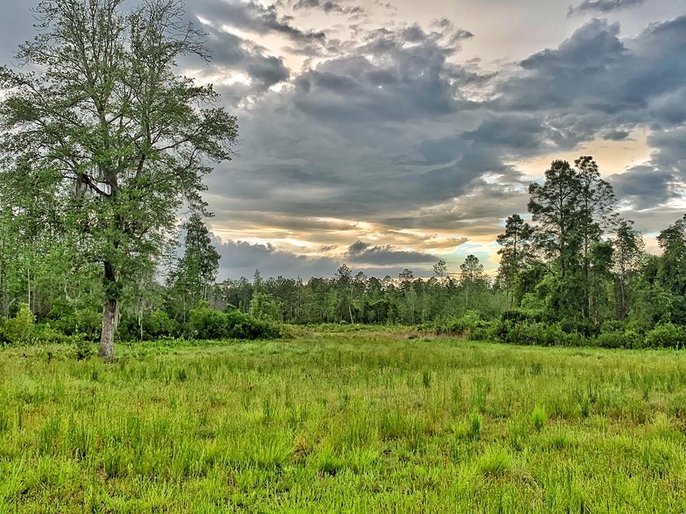 3392 Bee Tree Rd - Photo 1