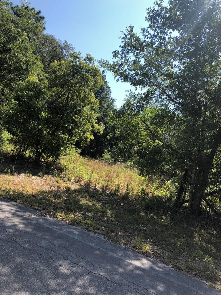 lot 5 82ND COURT - Photo 1