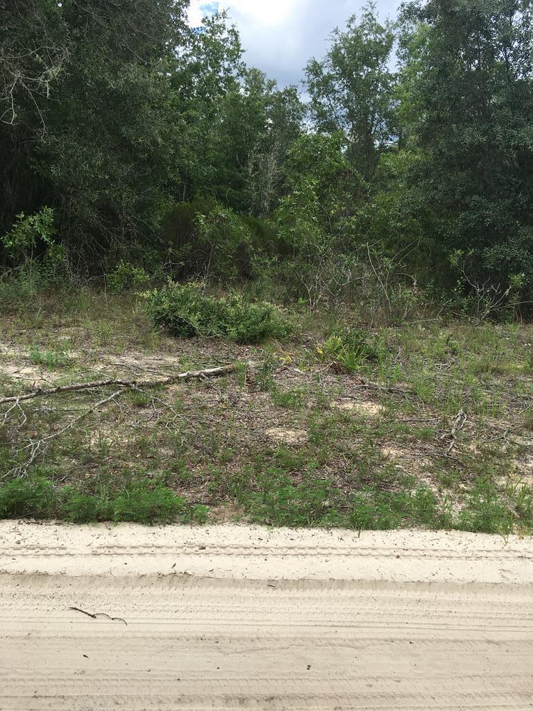 Ne 95 Ave - Photo 1