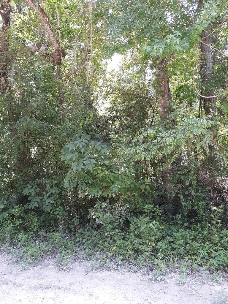 Lot 2 941st Street - Photo 1