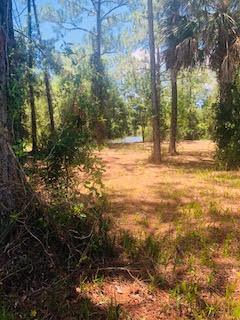 349 Hwy349 - Photo 1