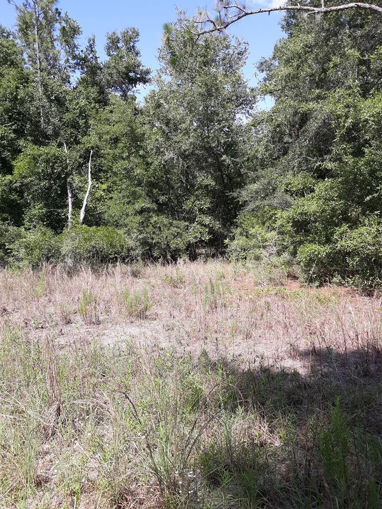 Lot 4 21st Ave - Photo 1