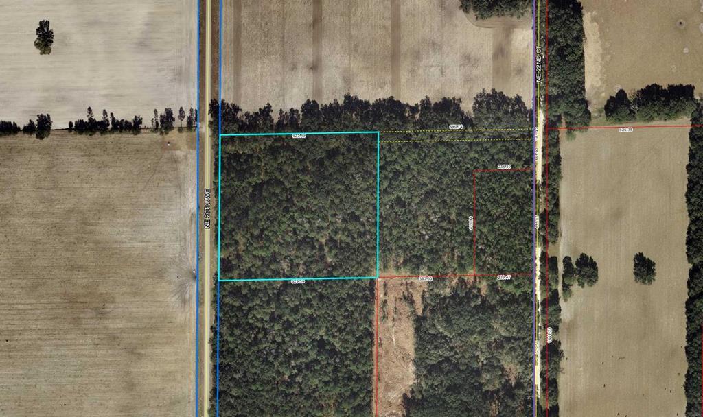 20th Avenue - Photo 1