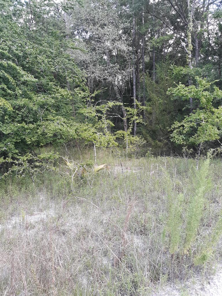 Lot 3 17th Ct - Photo 1