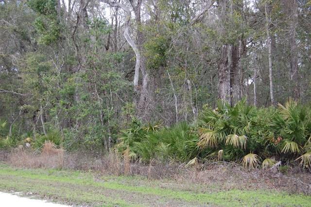 LOT 12 306TH AVE - Photo 1
