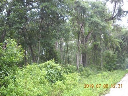 Lot 21 763rd Street - Photo 1 Lot 21 763rd Street - Photo 1