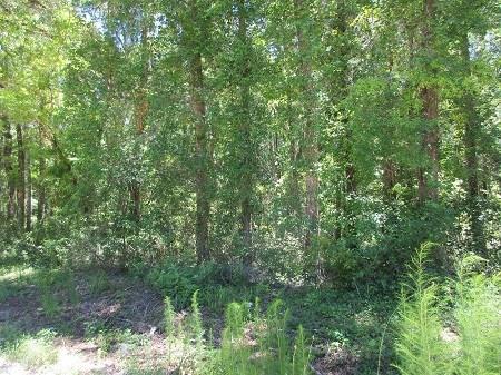 Lot 5 550th Street - Photo 1 Lot 5 550th Street - Photo 1