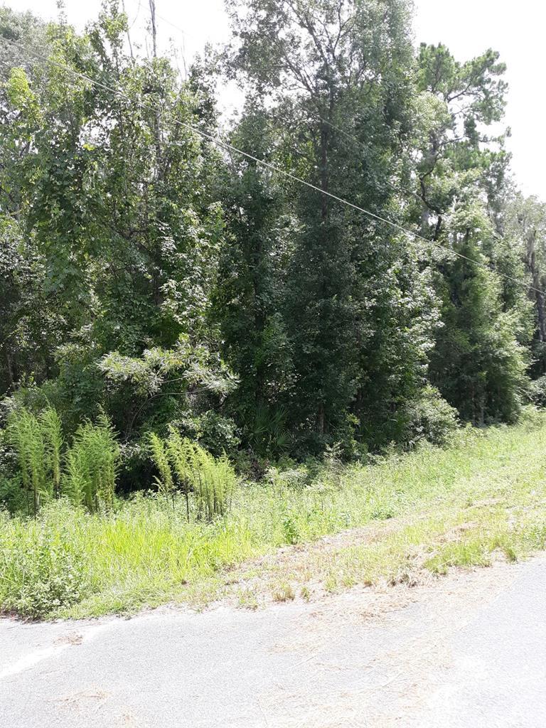 Lot 3&4 Cr 317 - Photo 1