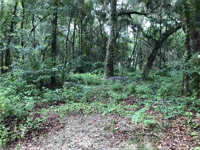 TBD Carol Drive - Photo 1