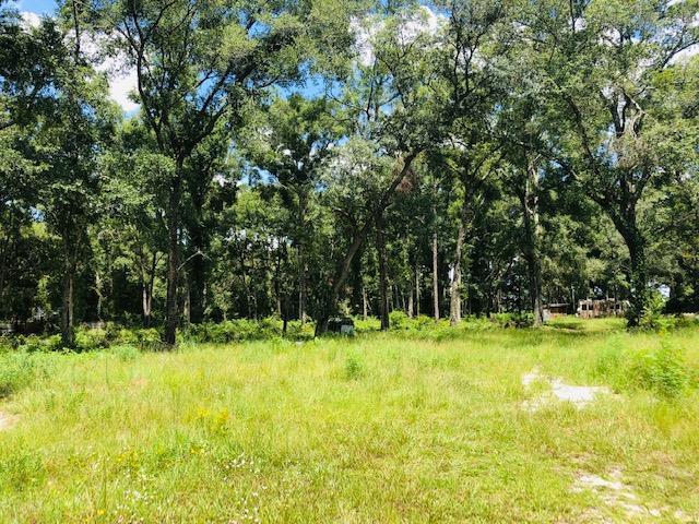 14263 Highway 19 - Photo 1