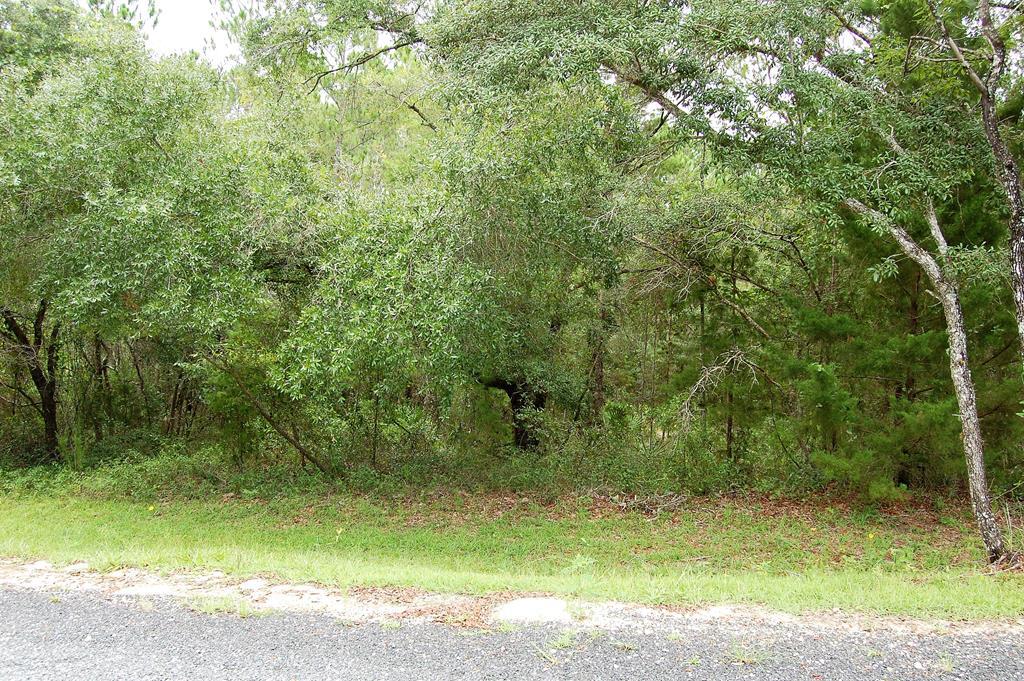 Lot 36 Pine Hill Drive - Photo 1