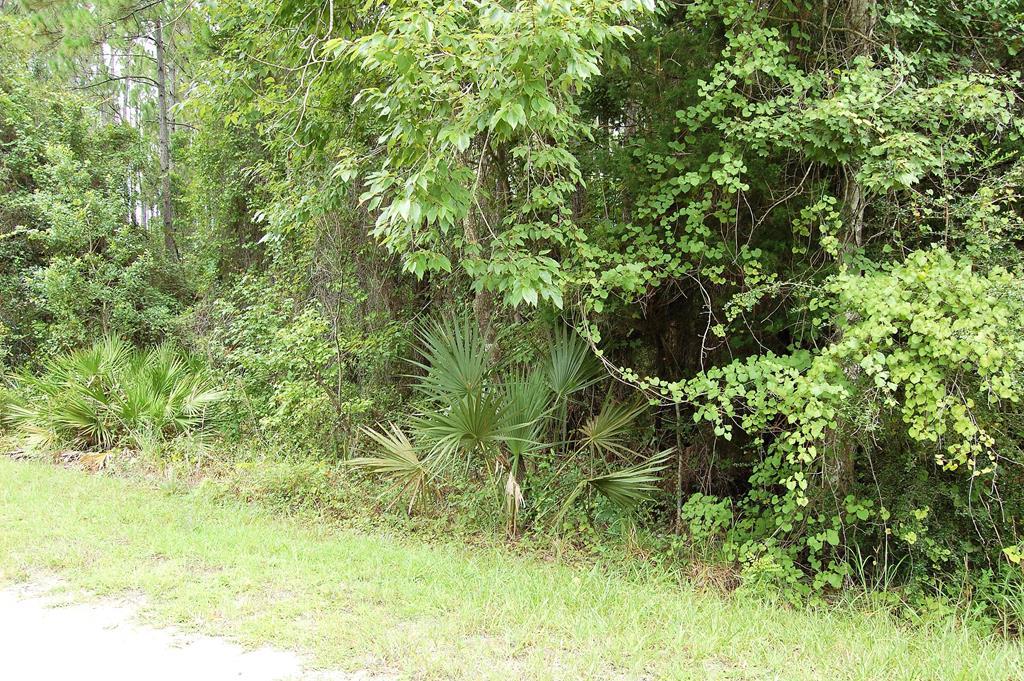 Lot 31 Pine Hill Drive - Photo 1