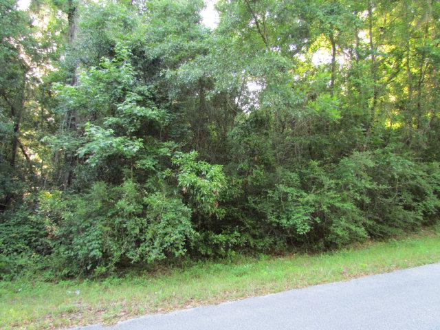 50 Avenue - Photo 1