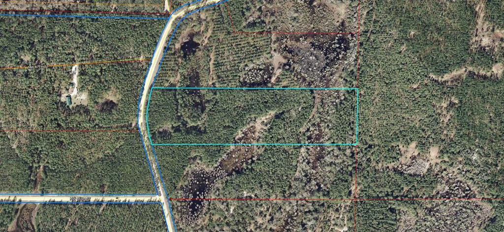 Camp Azalea Road - Photo 1