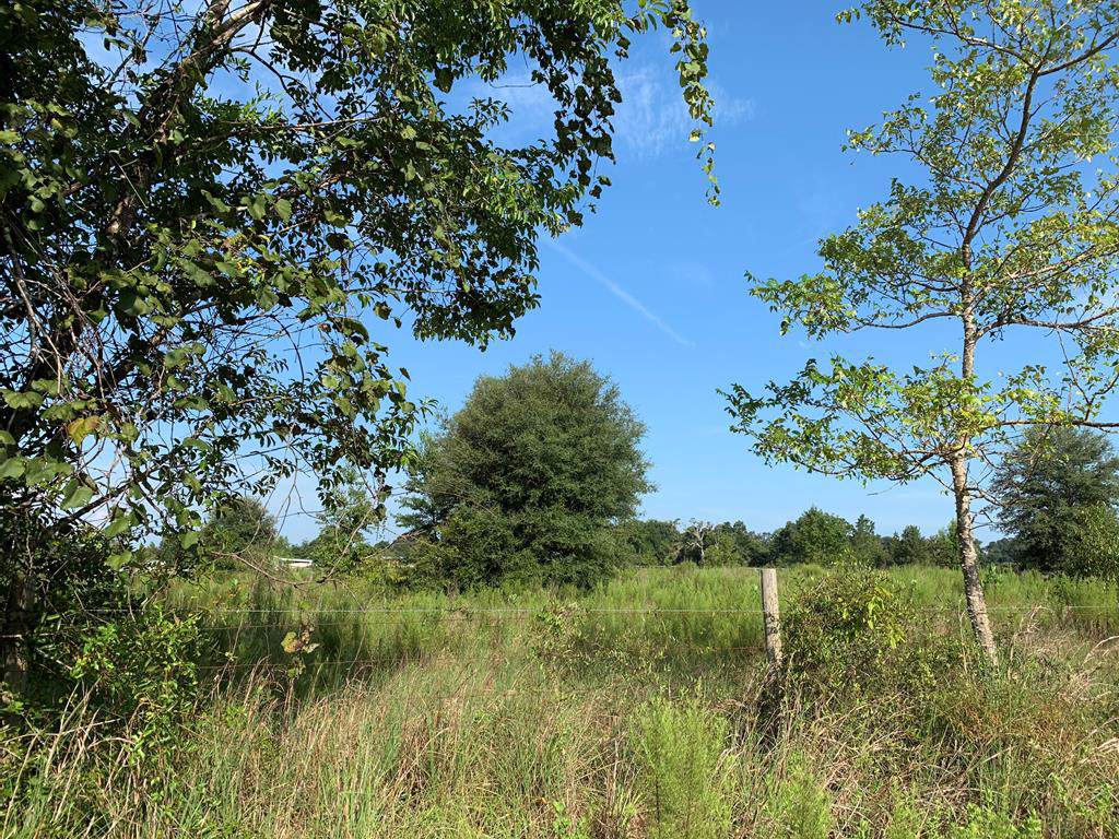2.36 Ac 15th Ave - Photo 1