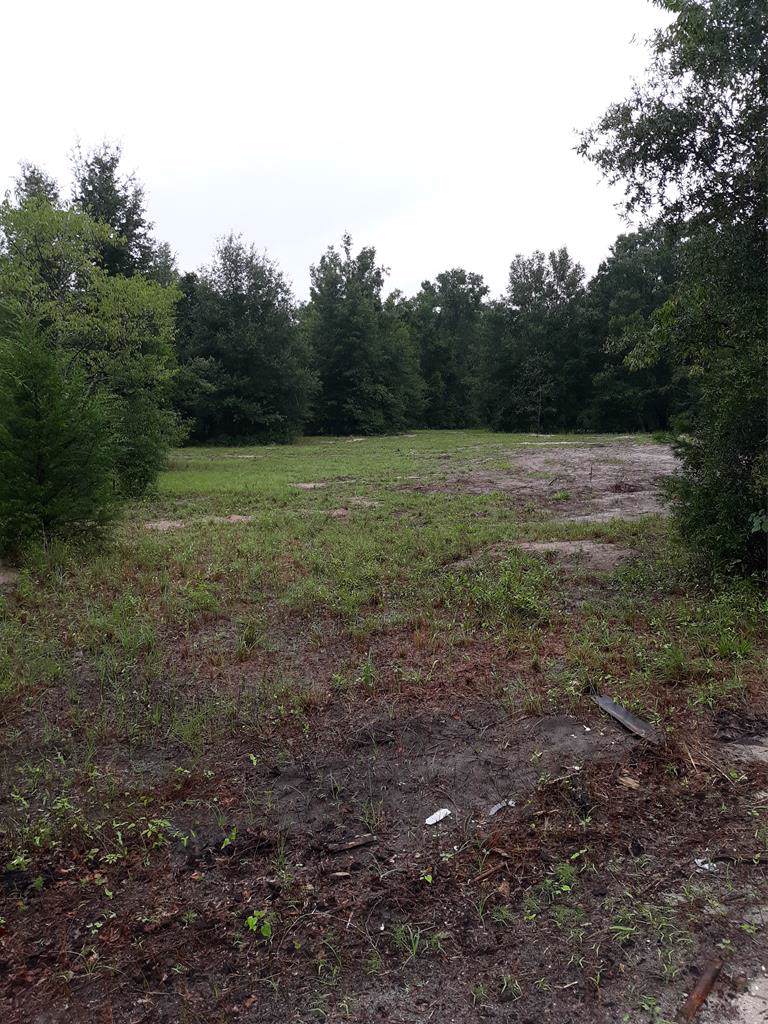 Lot 1 Strickland Ave - Photo 1