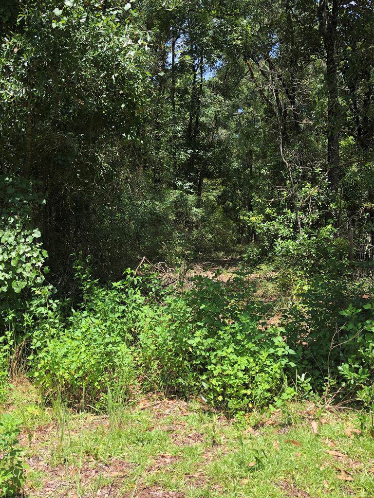 lot 25 206th Avenue - Photo 1