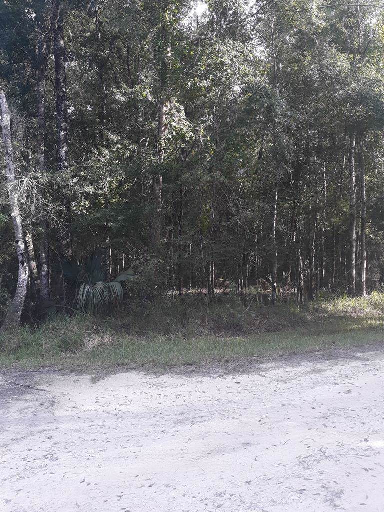 Lot 34 843rd Street - Photo 1 Lot 34 843rd Street - Photo 1