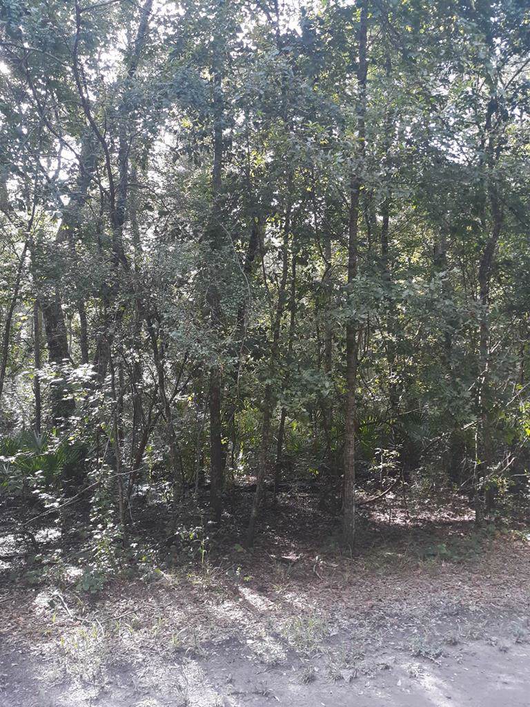 Lot 35 843rd Street - Photo 1