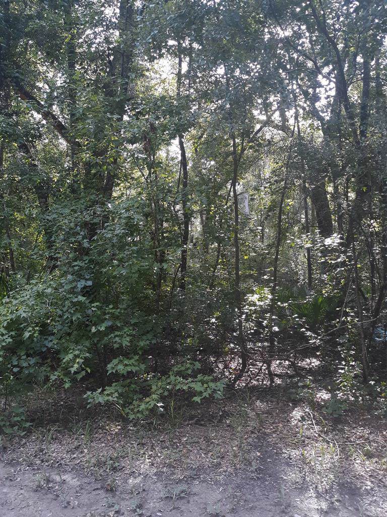 Lot 36 843rd Street - Photo 1