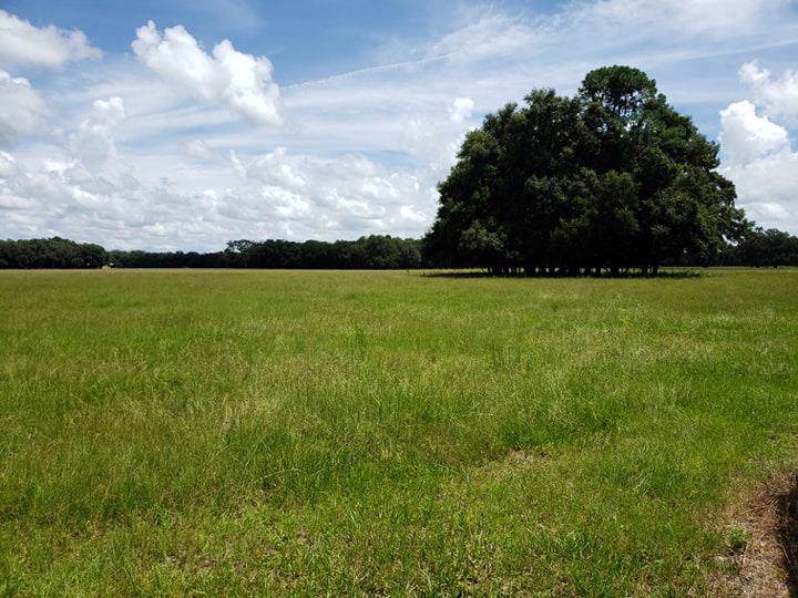 1031 Hwy 41 - Photo 1