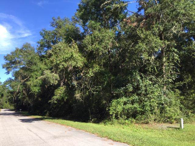 Lot 24 90th Lane - Photo 1