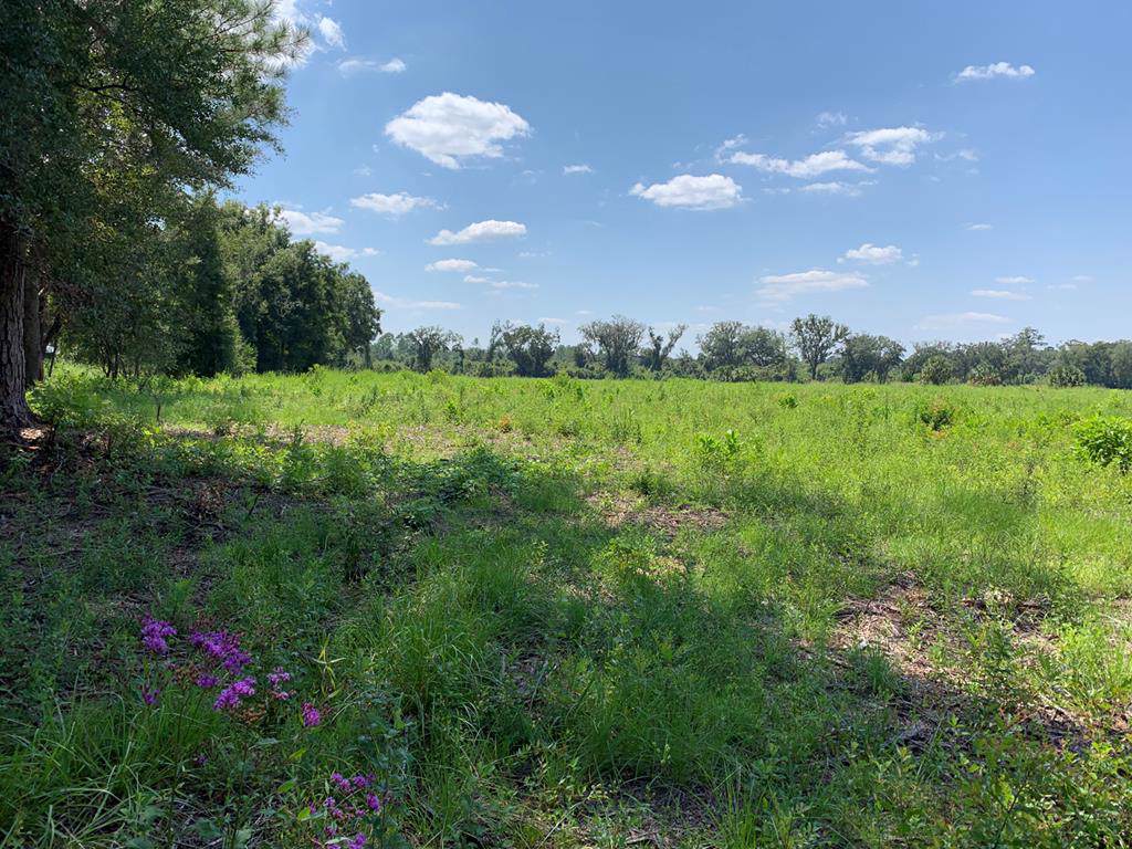 4650 205th Ave - Photo 1