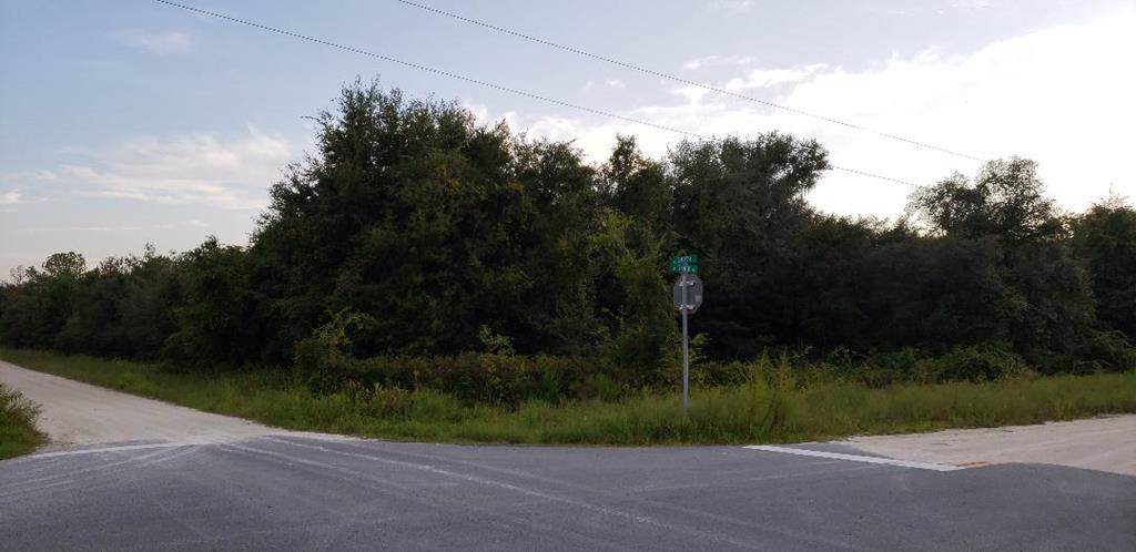 268th Ave - Photo 1