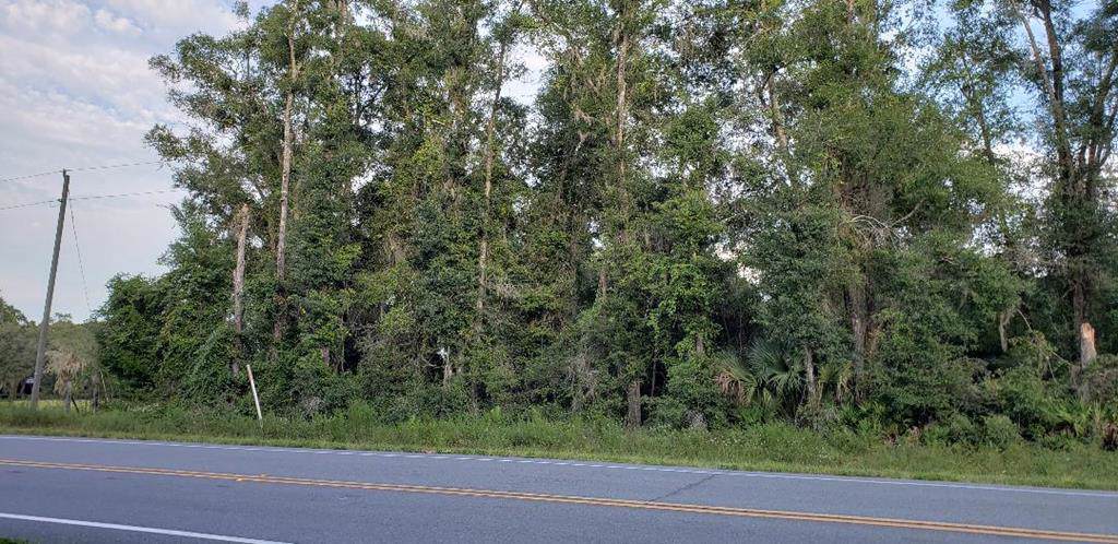 Hwy 351 N - Photo 1