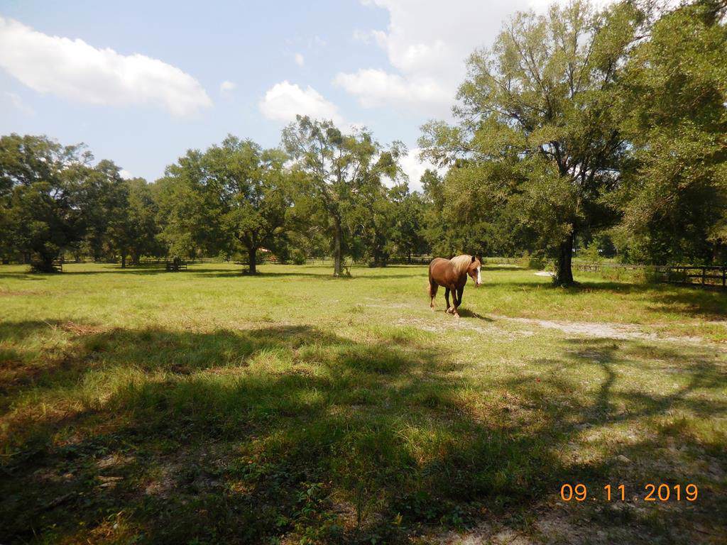 Cr 313 - Photo 1 Cr 313 - Photo 1