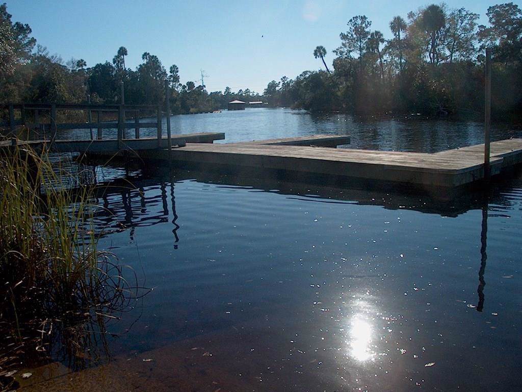 1210 248th Ave - Photo 1