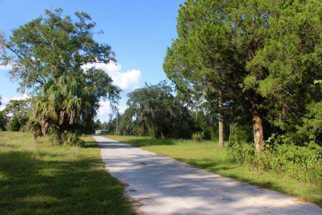 6491 State Road 24 - Photo 1