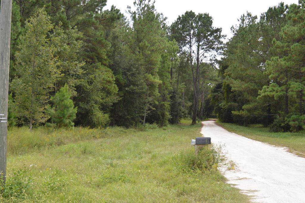 Hwy 19 - Photo 1
