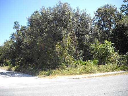 TBD Hwy 351 - Photo 1 TBD Hwy 351 - Photo 1