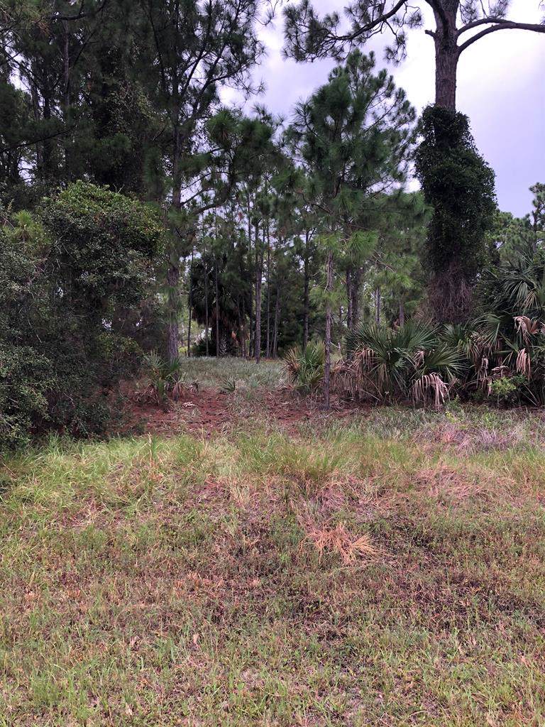 Sw 101st Lane - Photo 1