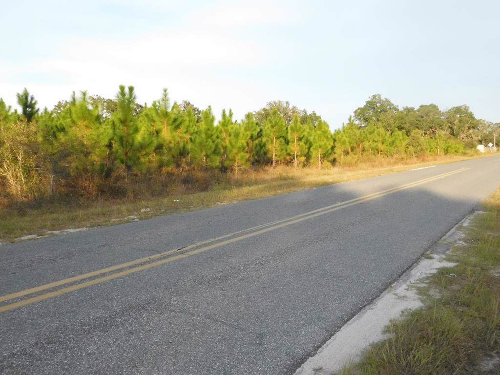 Hwy 349 - Photo 1