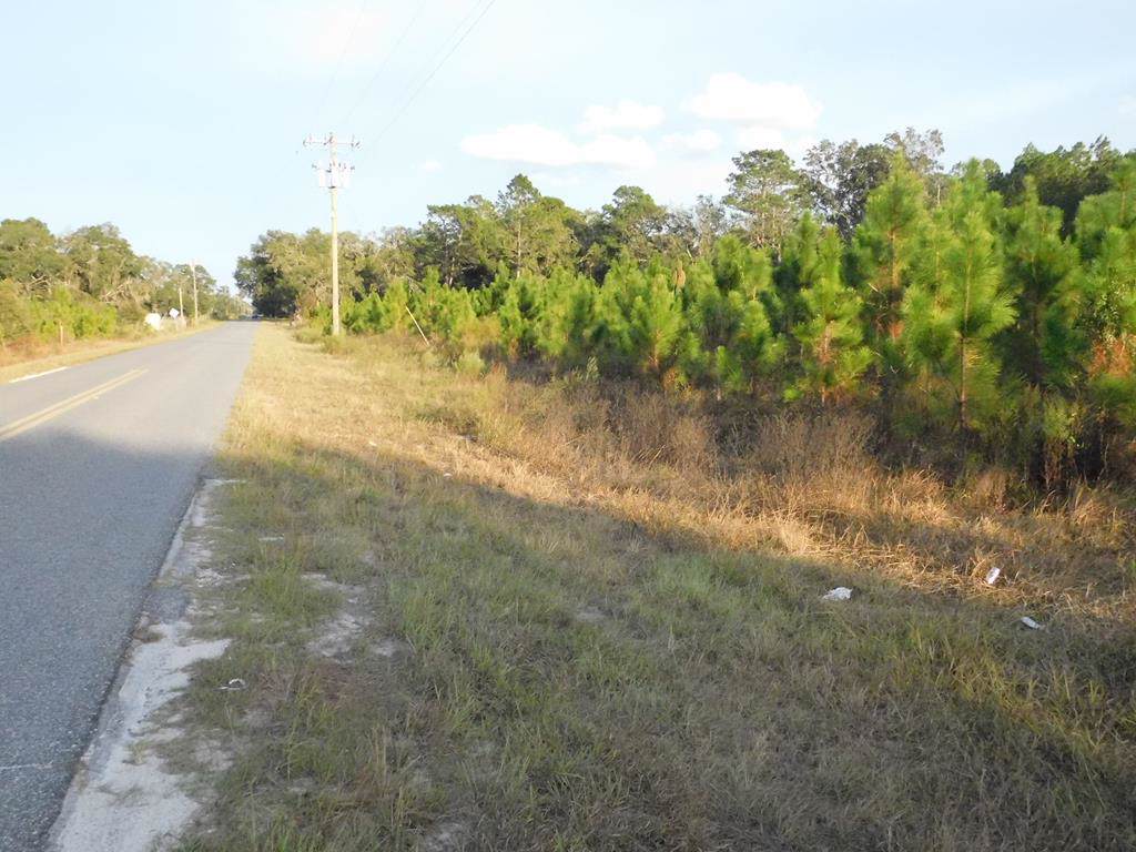 Hwy 349 - Photo 1