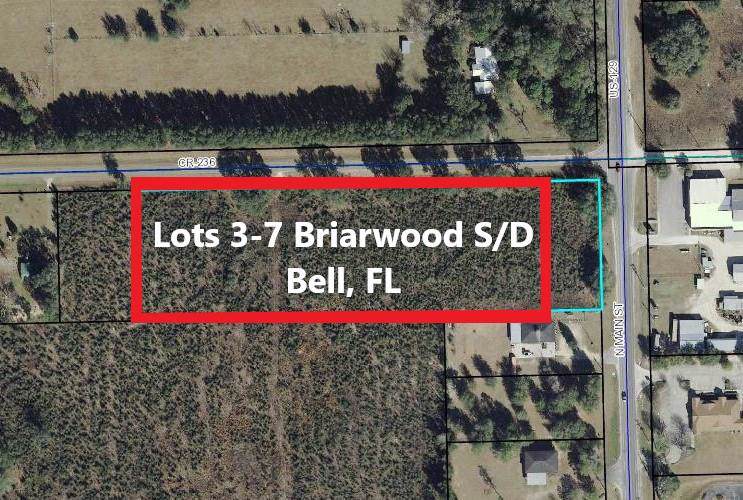 Lot 3 County Road 236 - Photo 1