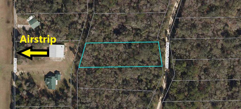 2207 Ancient Oaks Drive - Photo 1