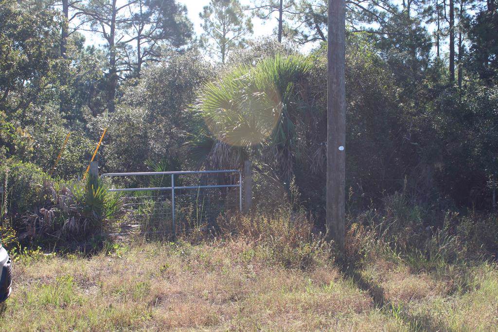 7951 County Road 347 - Photo 1