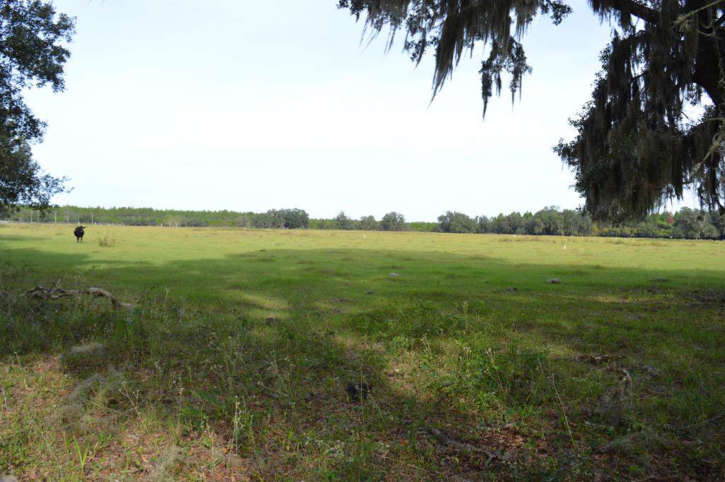 225 Avenue - Photo 1