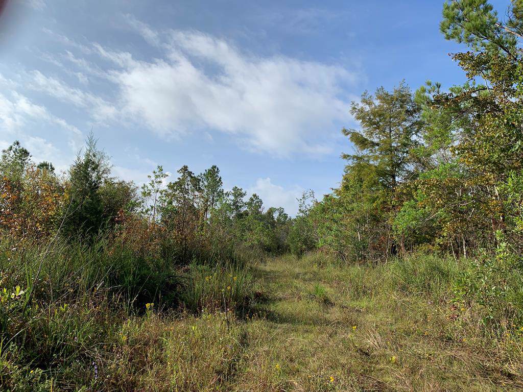 661 Street - Photo 1