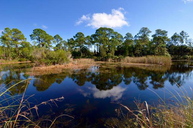 Lot 56 101st Ln - Photo 1